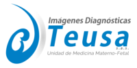 logo Teusa transparente